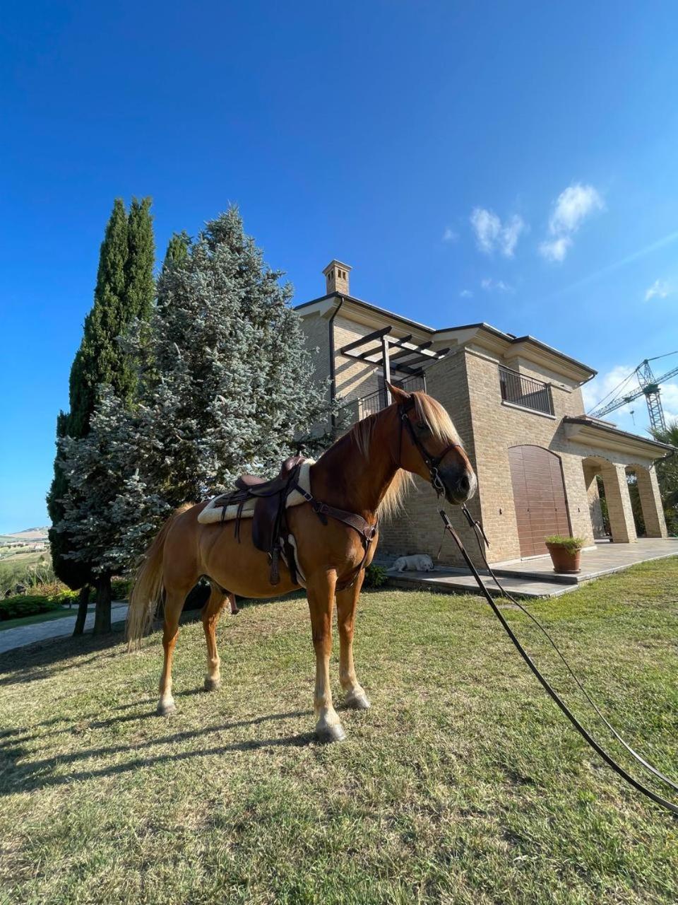 Azzurra Villa